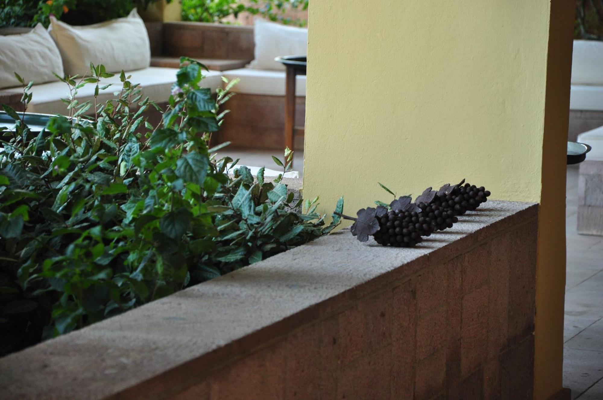 Palm Court Suites Ayvalik Exterior photo